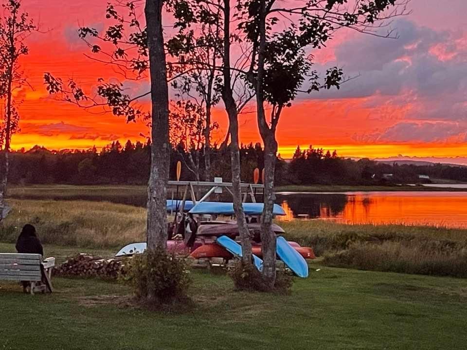 Pink Skies at Night 