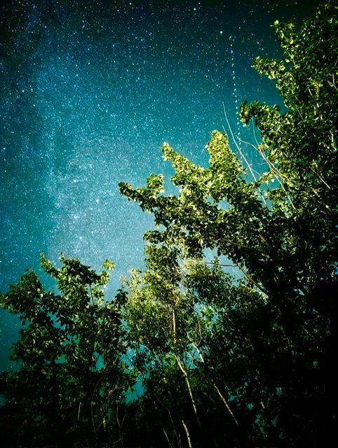Stargazing at Island Beach Hideaways 