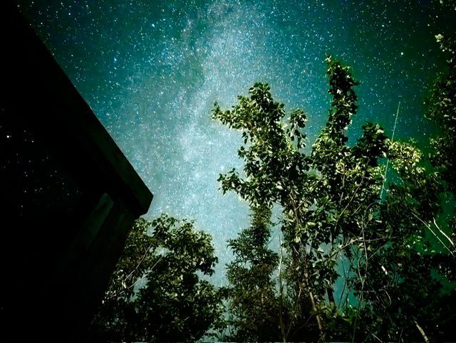 Stargazing in Clear Skies