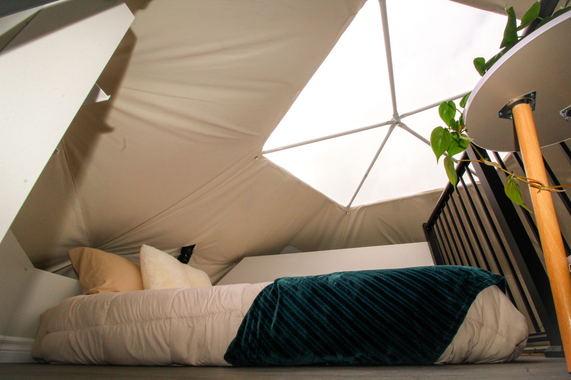 Tranquility Dome Loft Bed
