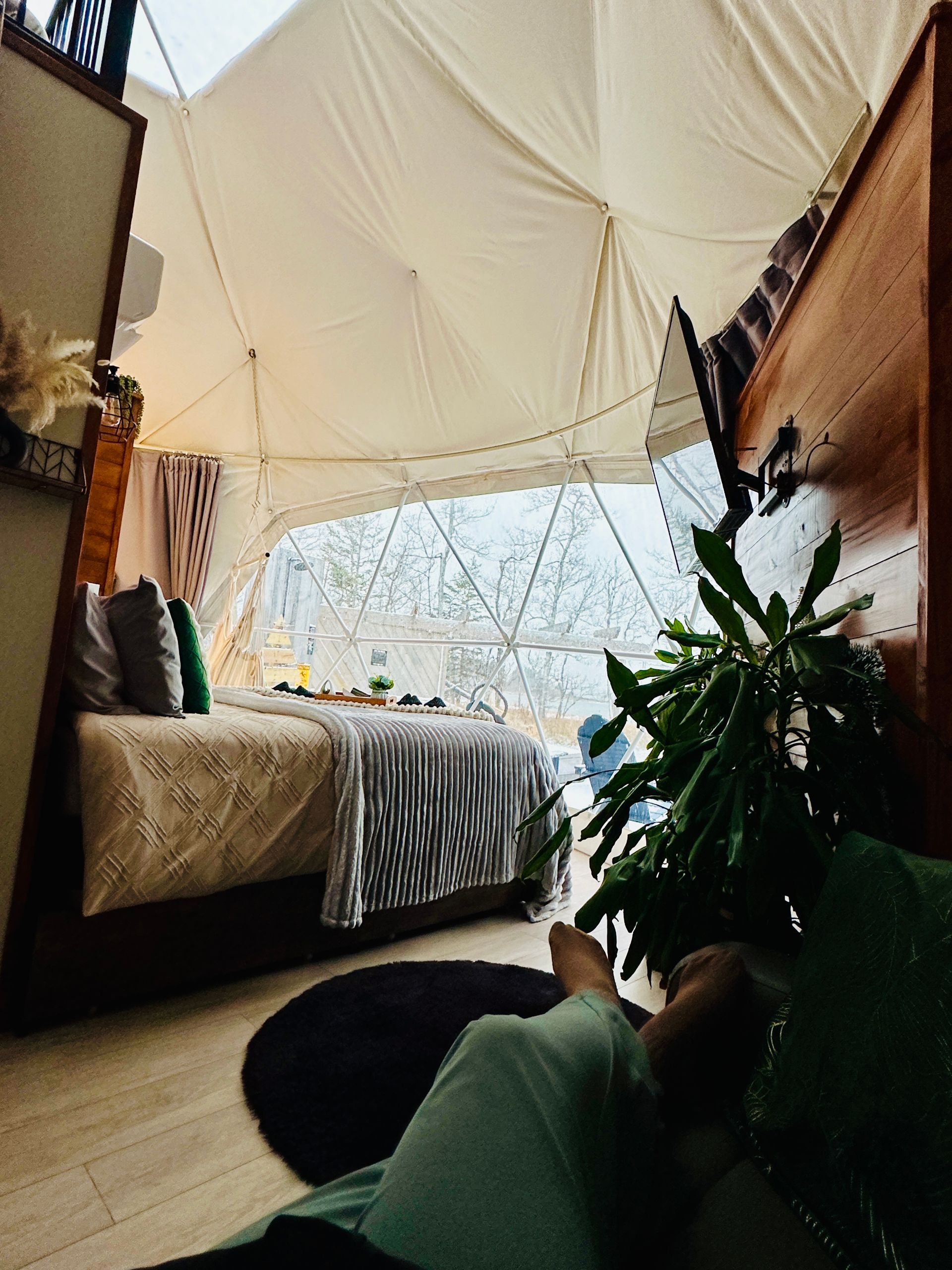 Interior of a dome-shaped tent with a bed, plants, and a partial view of the outdoors.