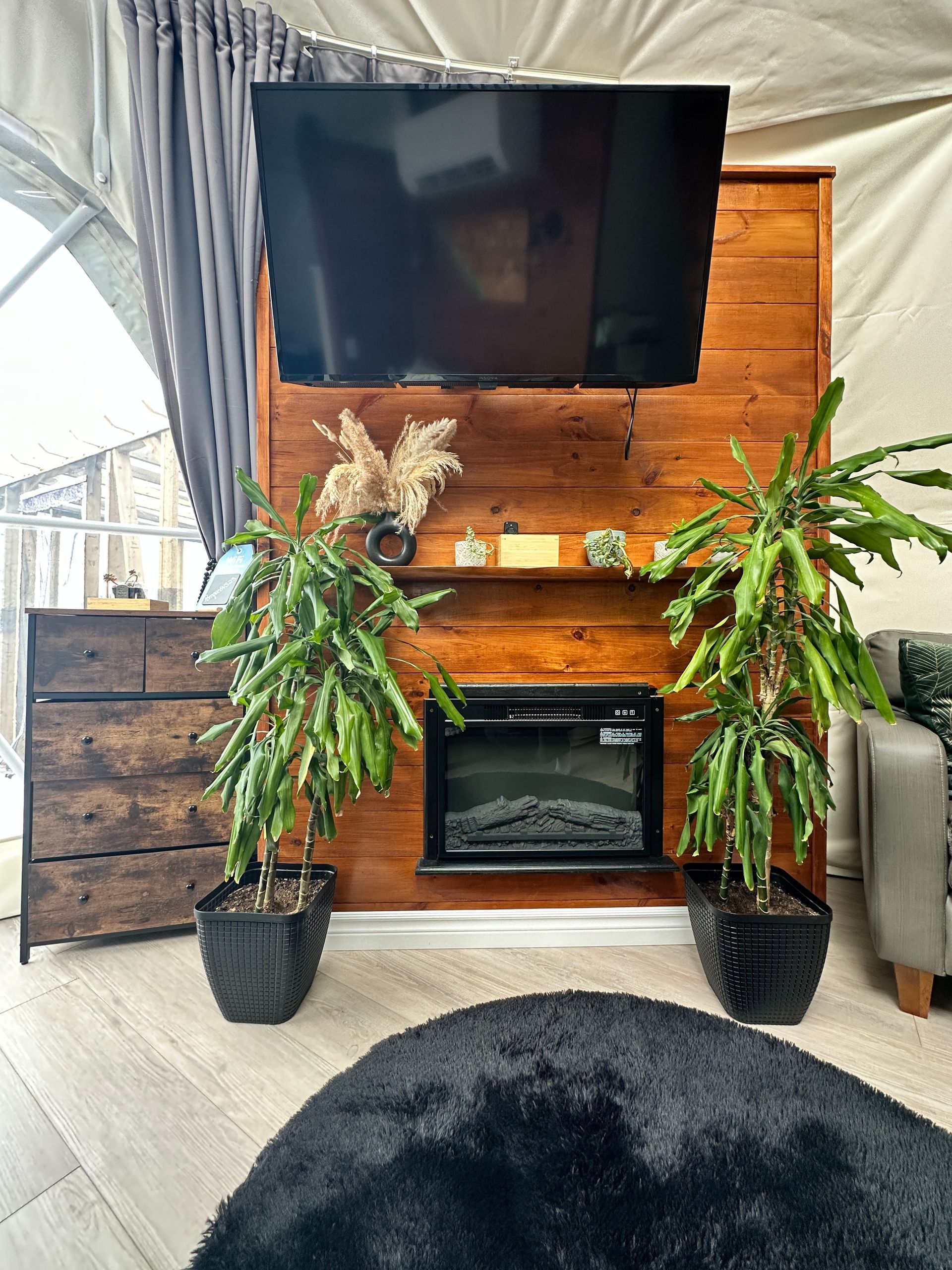 Tv and Fireplace