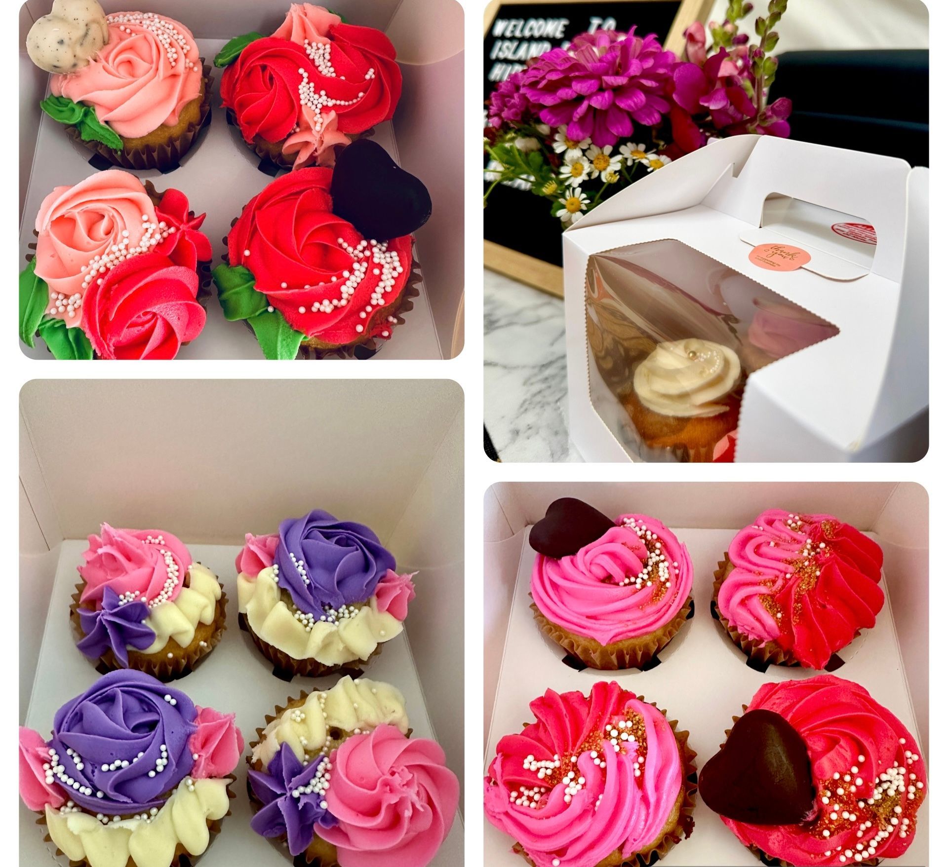 Gourmet Cupcakes