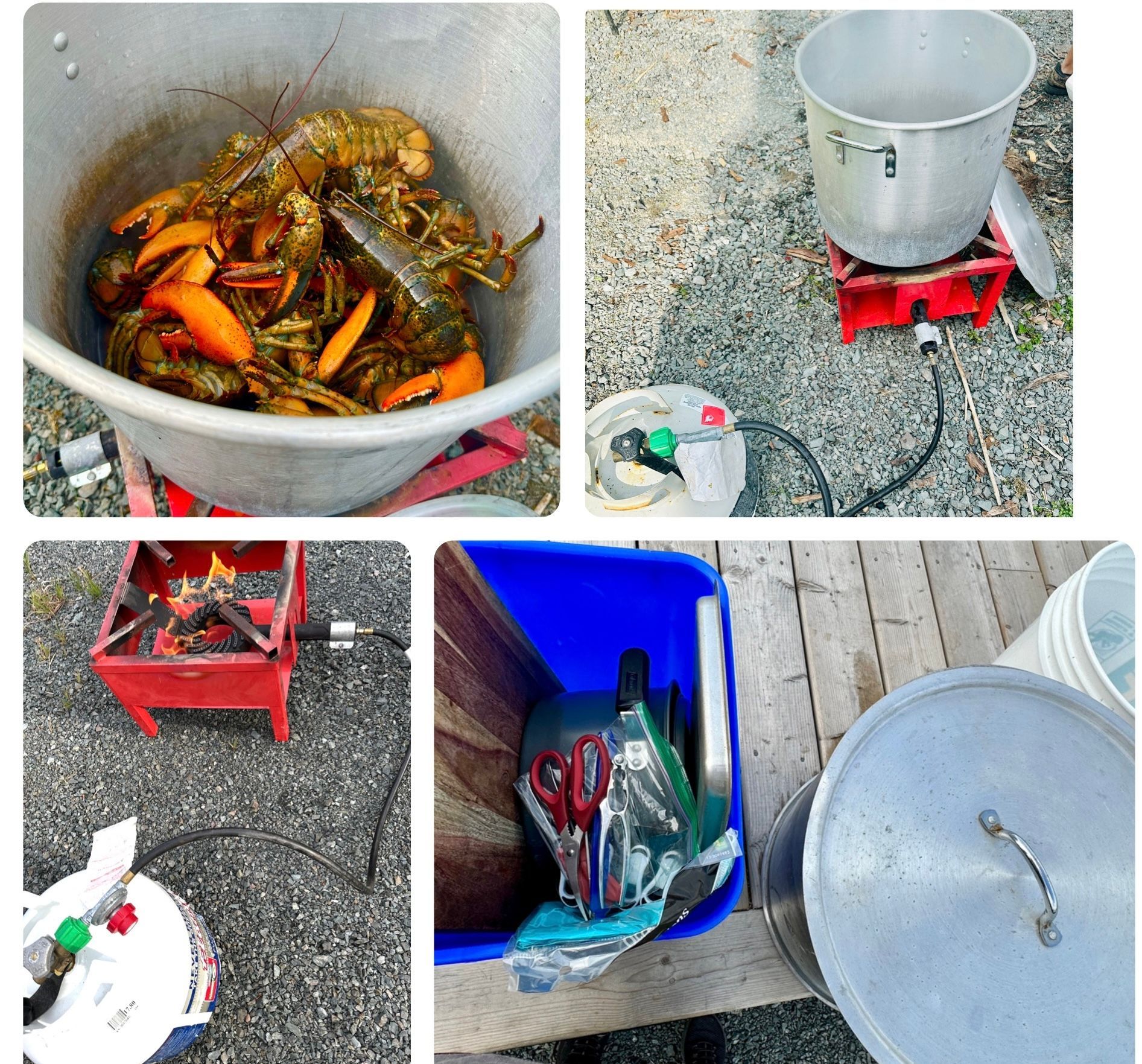 Lobster Boil Kit