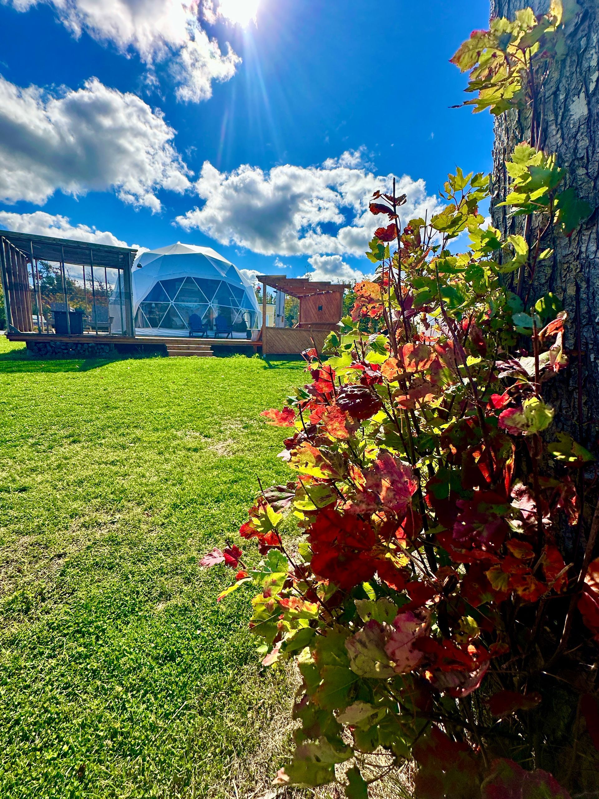 Fall Vibes at Island Beach Hideaways 