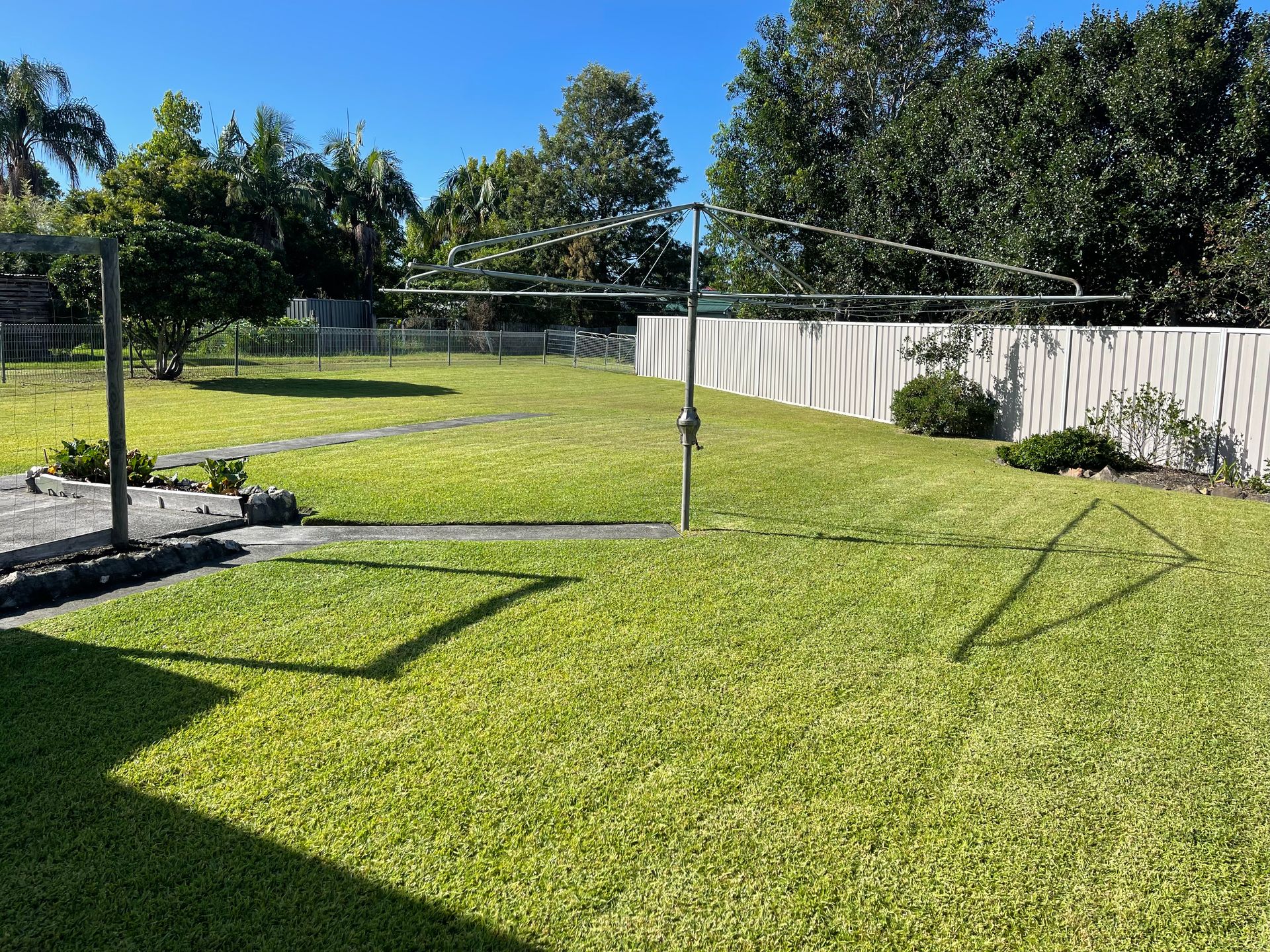 Lawn With Clothesline in a Backyard on a Sunny Day — Coastal Slashing & Mowing Services In Tallwoods Village, NSW