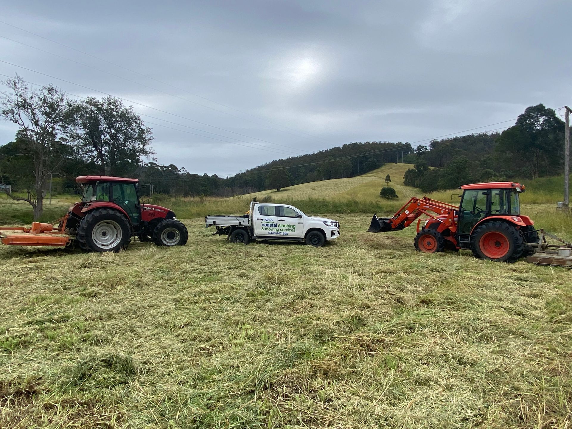 Orange Excavator Feeding Brush to a Green Wood Chipper — Coastal Slashing & Mowing Services In Tallwoods Village, NSW