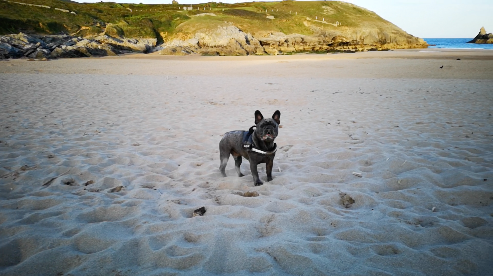 Barafundle Bay
