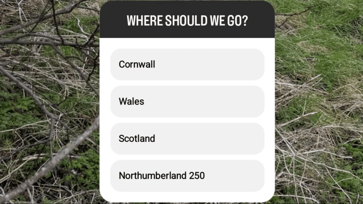 Instagram poll asking where should we go next