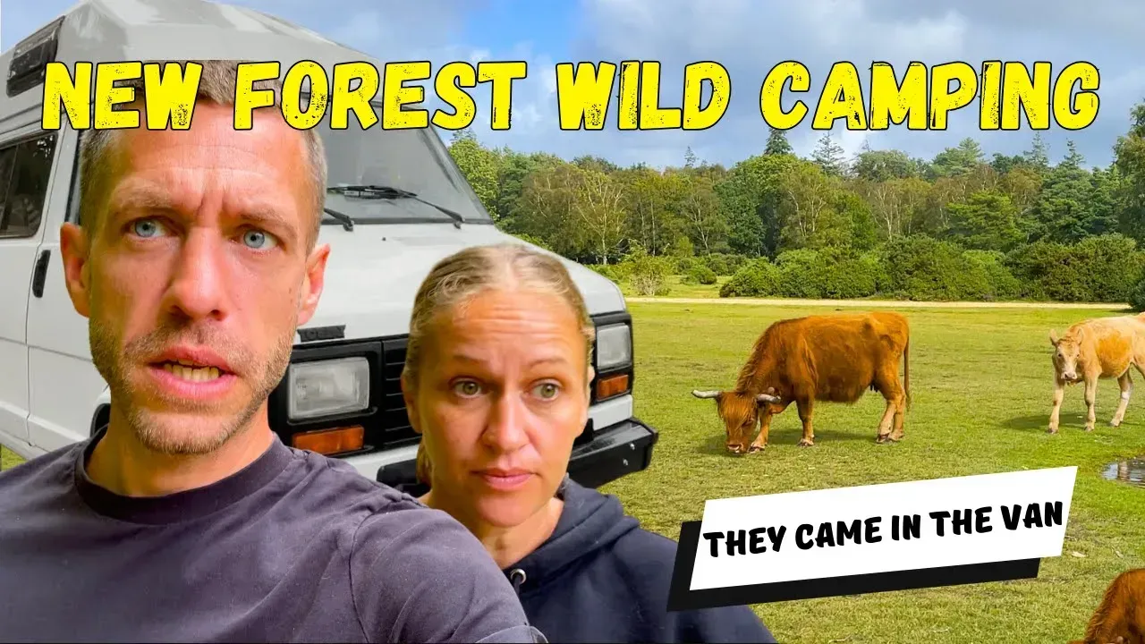 A man and a woman are standing in a field with cows.
