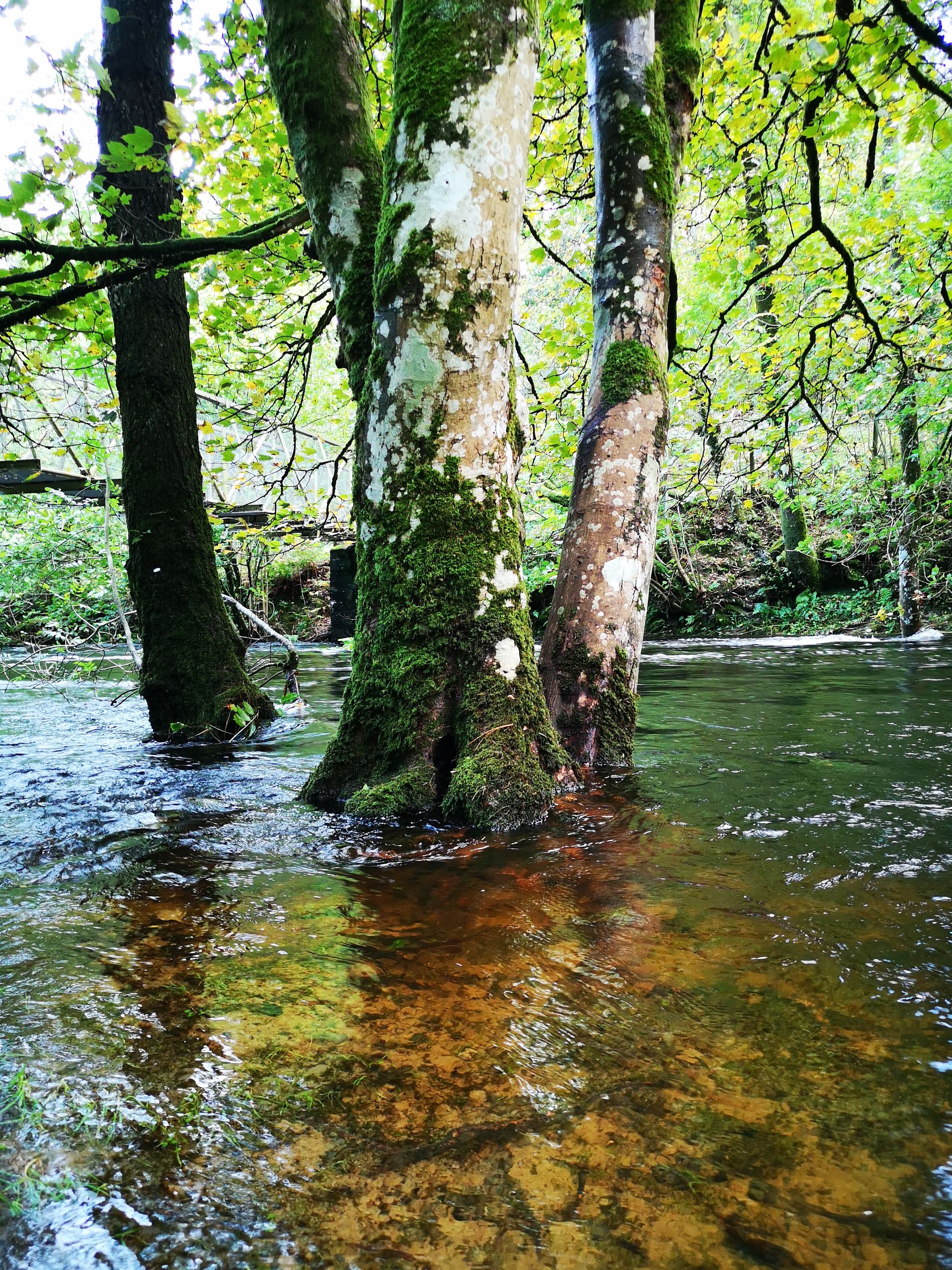 Explore the Beauty of Lake Vyrnwy Reservoir in Wales Complete Guide