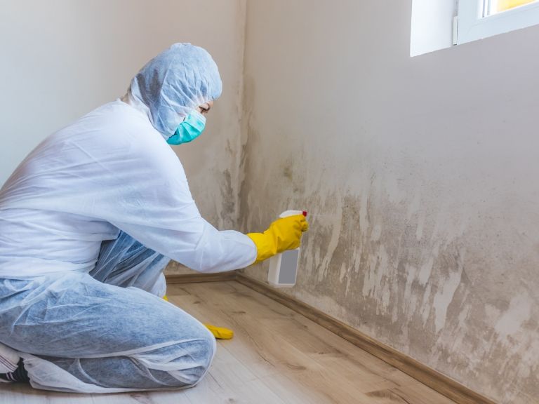 Person in protective suit sprays mold on a wall in a room.