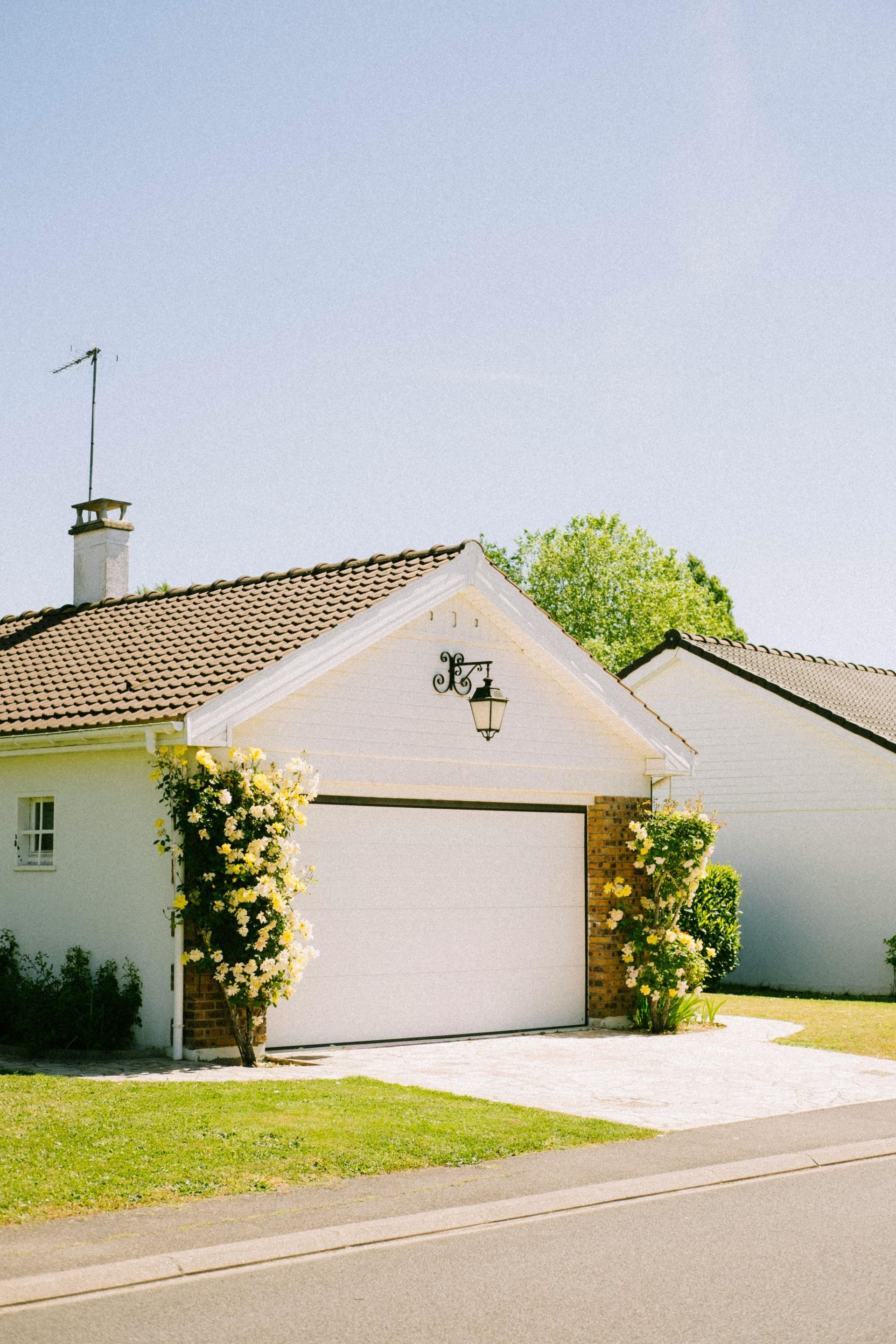White garage with a light-colored roof, climbing yellow roses, a driveway, and a clear blue sky.