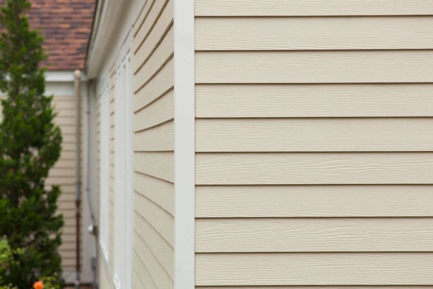 Beige siding on a house corner with white trim, a rooftop, and a tree.