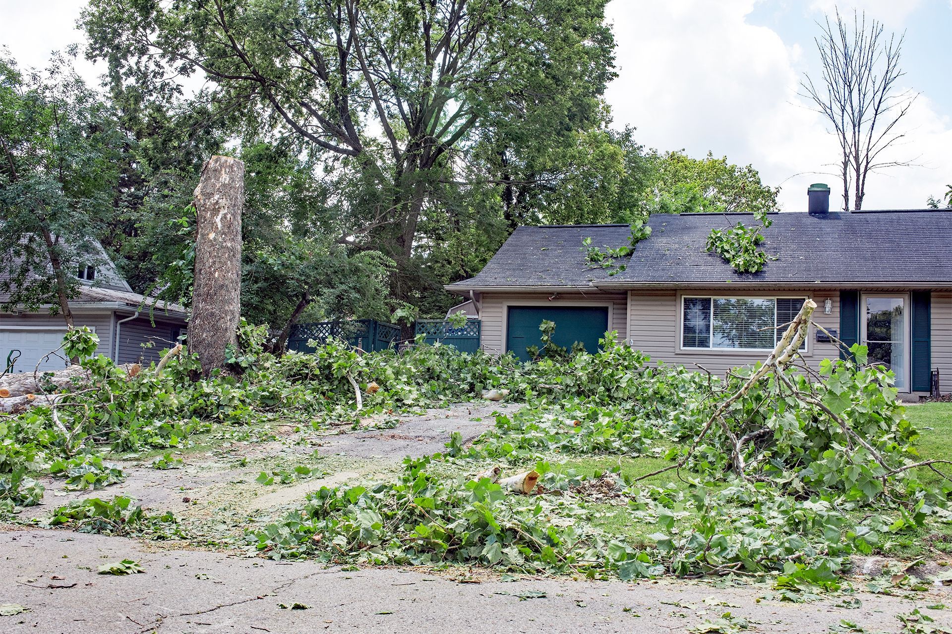 Fallen tree debris covers a driveway and house after a storm.