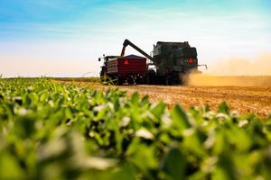 Agricultural Diesel Fuel Supplier — Tri -County Fuels Inc.