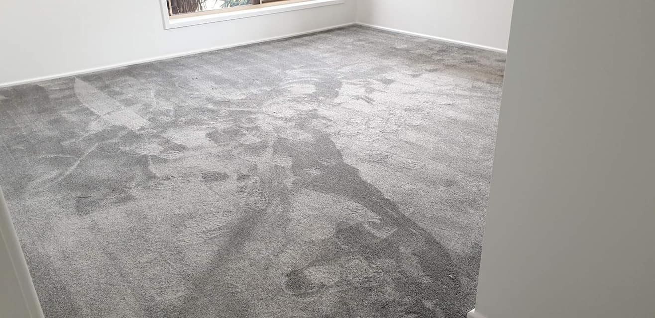 Empty Room With Light Gray Rug in Bundaberg