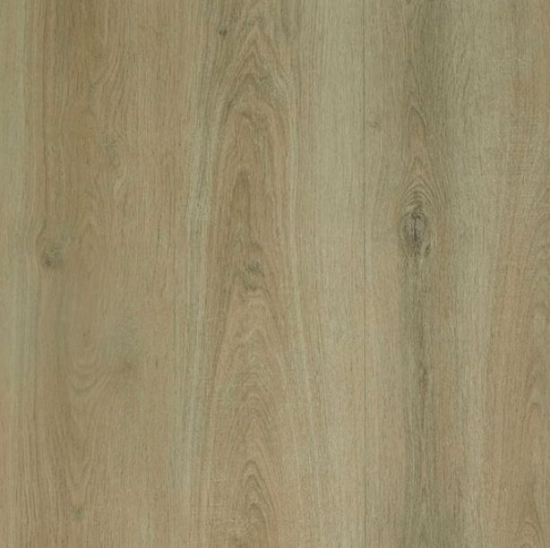 Kent Oak