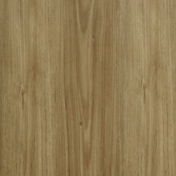 Mount Spotted Gum