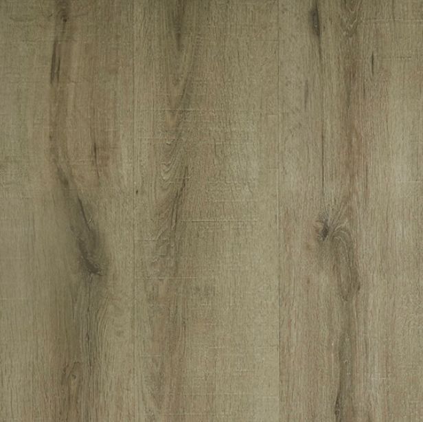 Stradbroke Oak