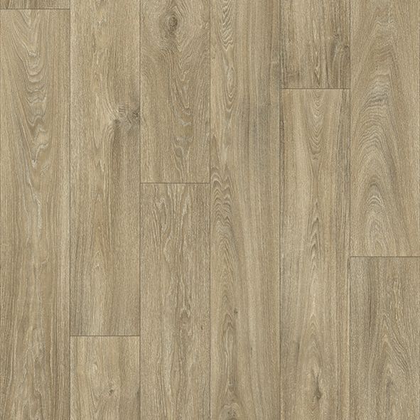 Tandur-2509