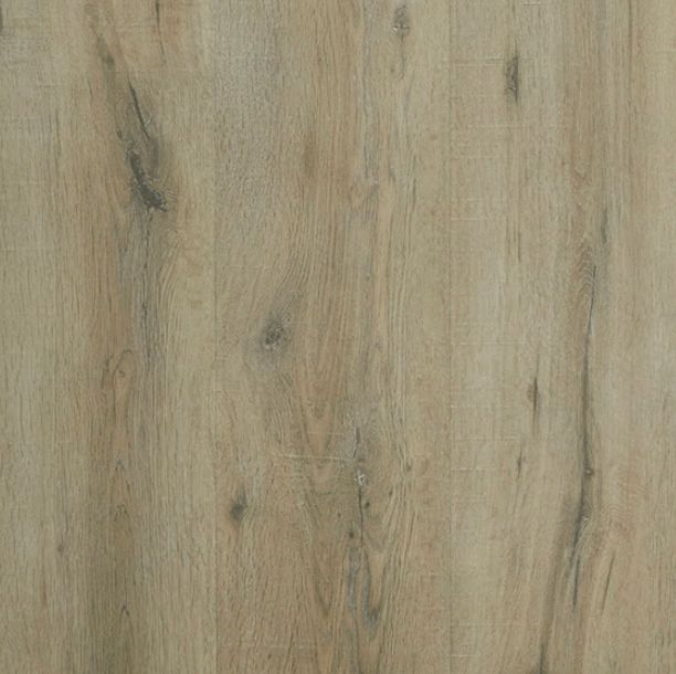 Warringal Oak
