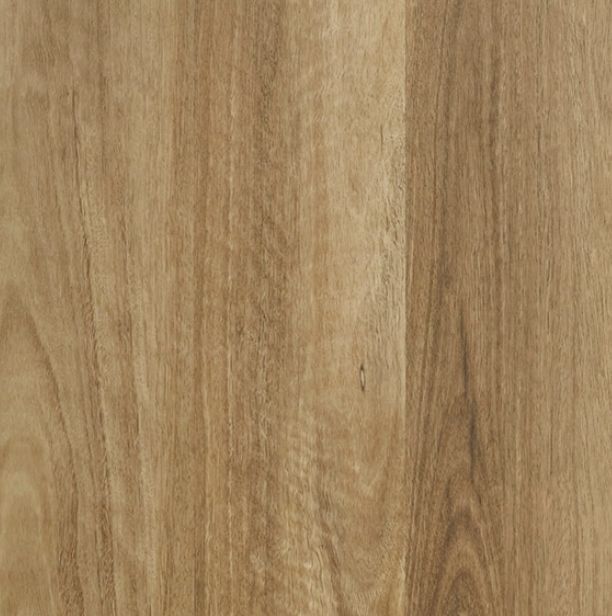 Yarra Spotted Gum