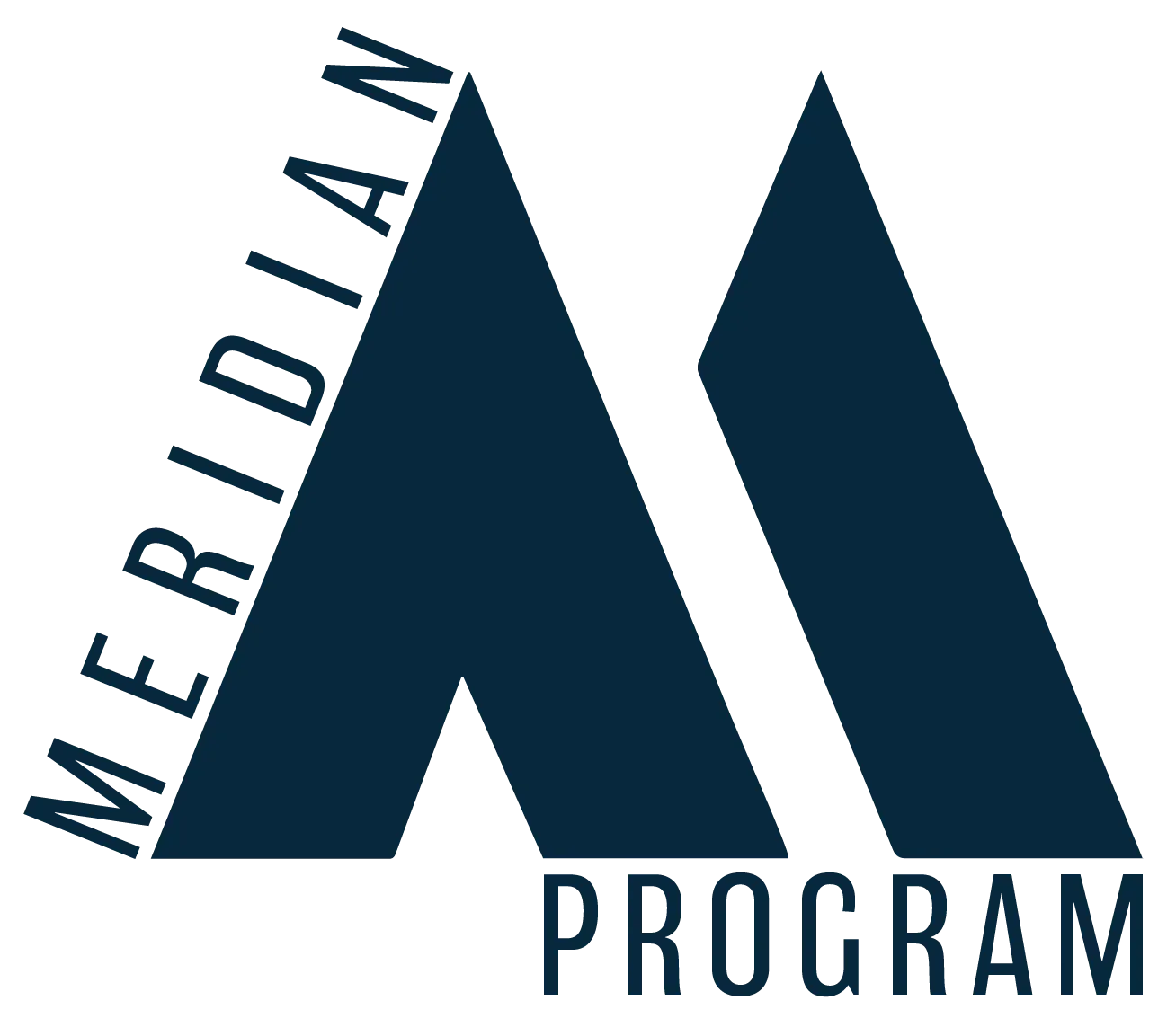 Meridian Program logo with stylized dark blue “M” and “PROGRAM” text on white background