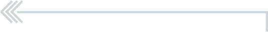 Light gray left-pointing double chevron icon inside a white rectangular field