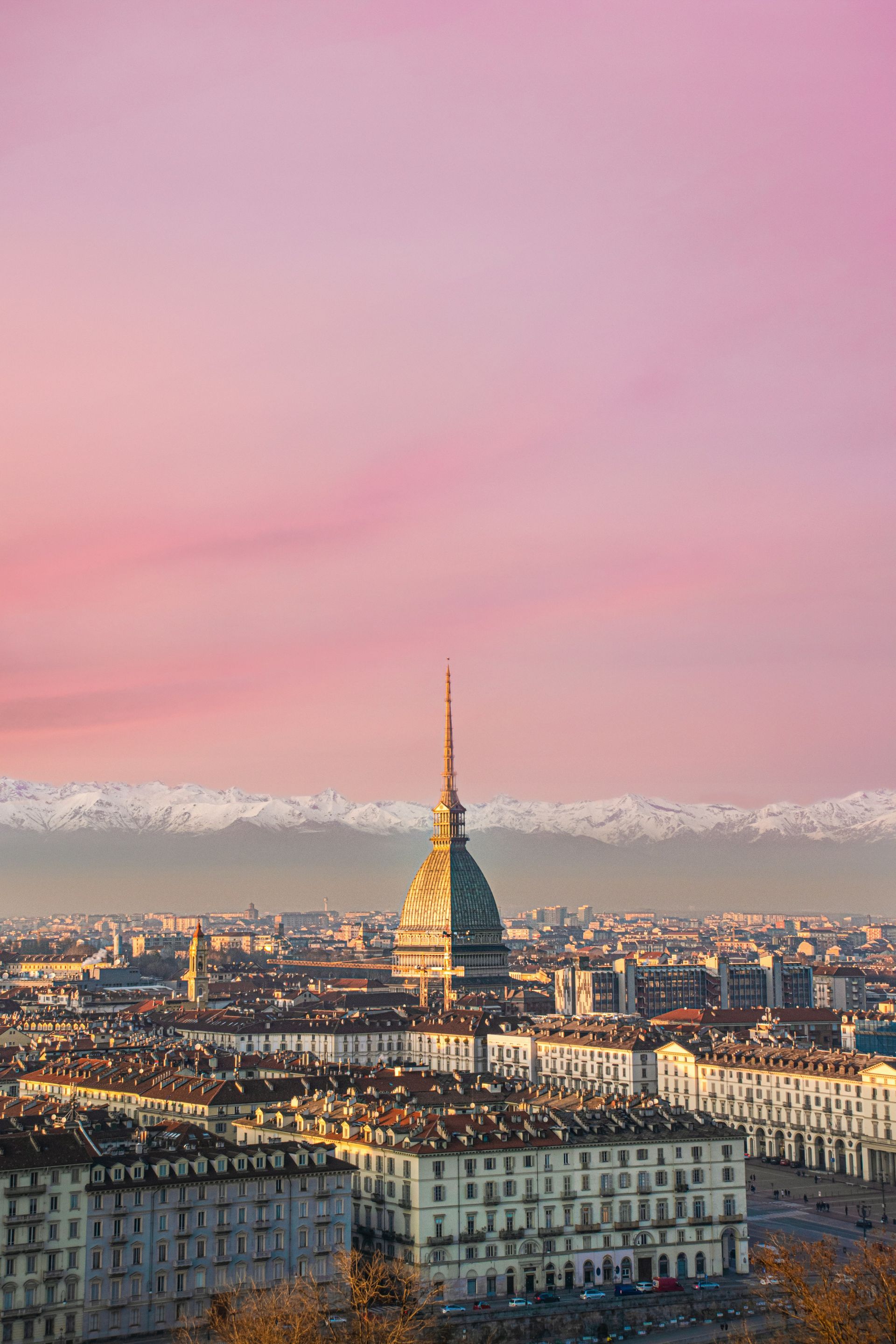 Lo skyline di Torino con la Mole Antonelliana sotto un cielo rosa e le Alpi sullo sfondo.