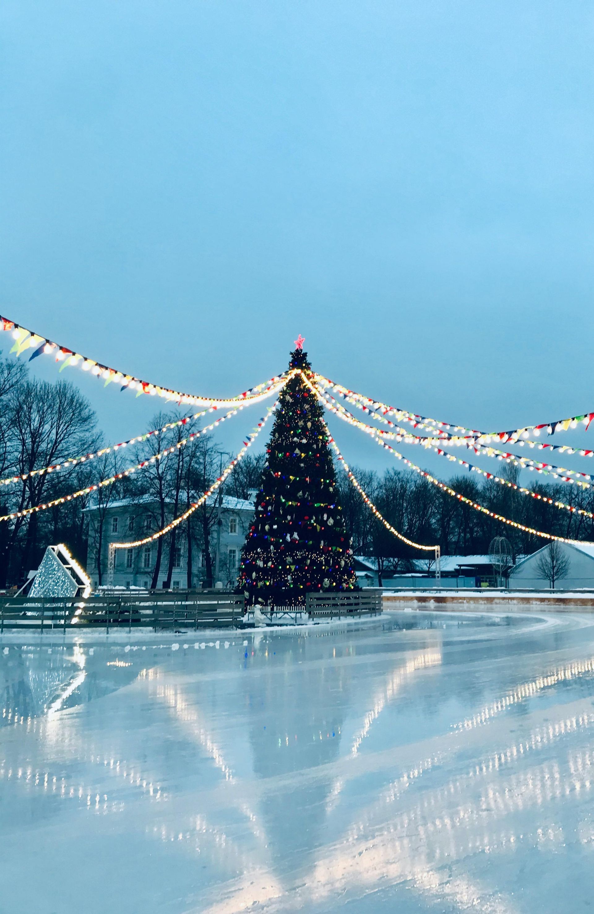 Albero di Natale con luci riflesse su uno stagno ghiacciato; luci appese in alto in una scena invernale.