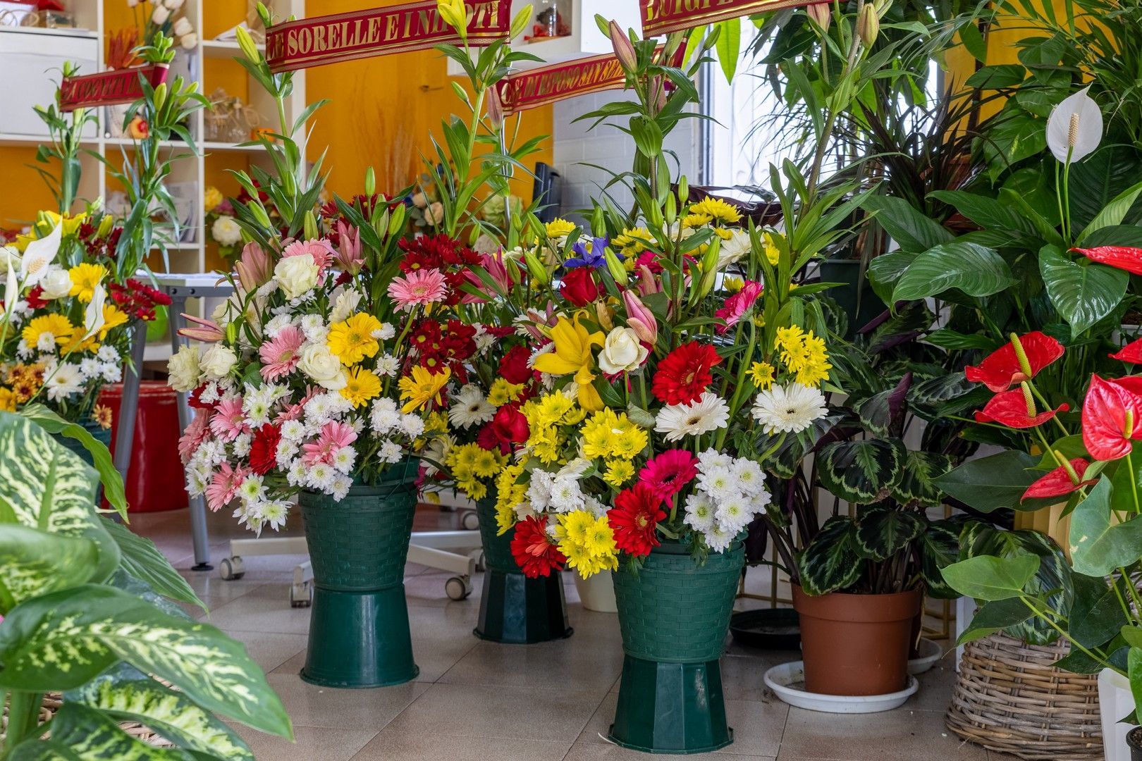 Un mazzo di vasi pieni di fiori è appoggiato sul pavimento di una stanza.