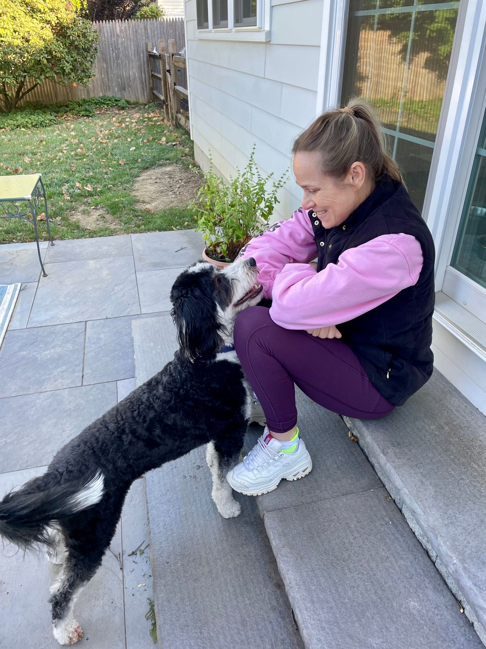 Why Wilmington Pet Owners Choose Us