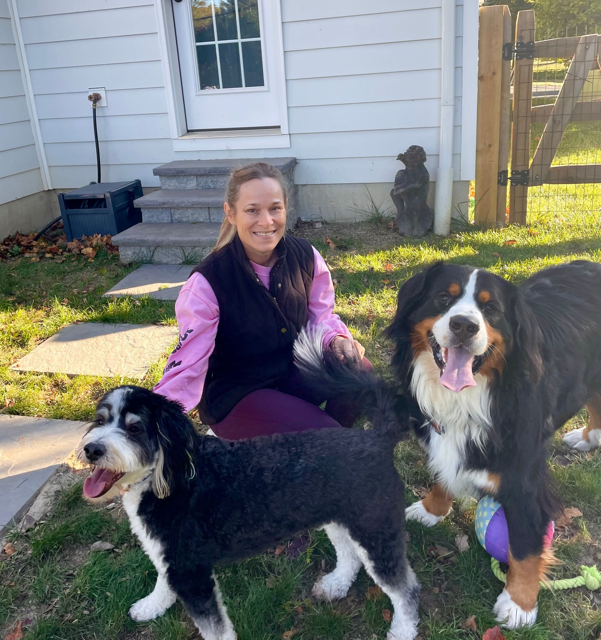 Dog Training in Wayne, PA