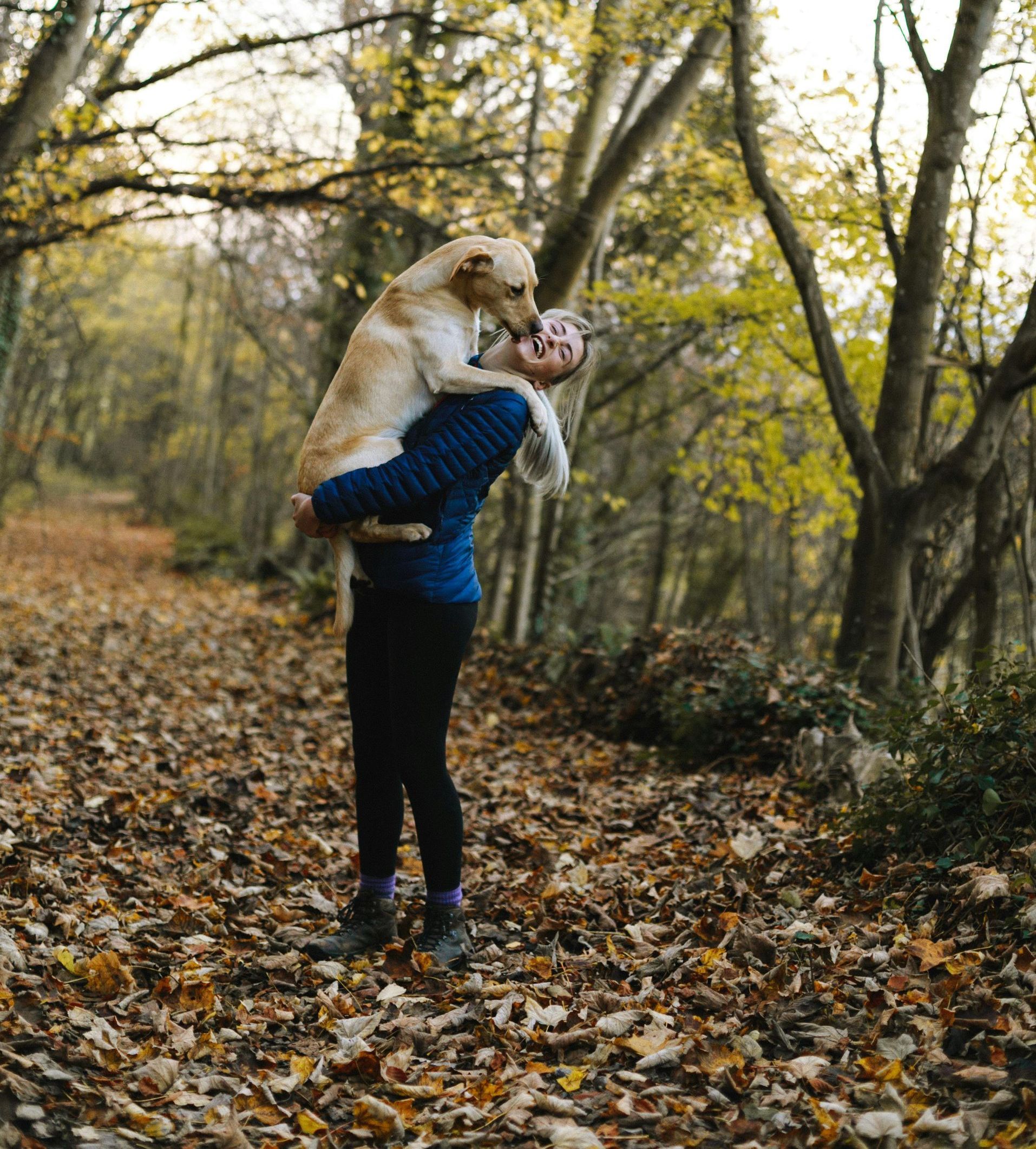 Dog Walker Services in Mainline, PA