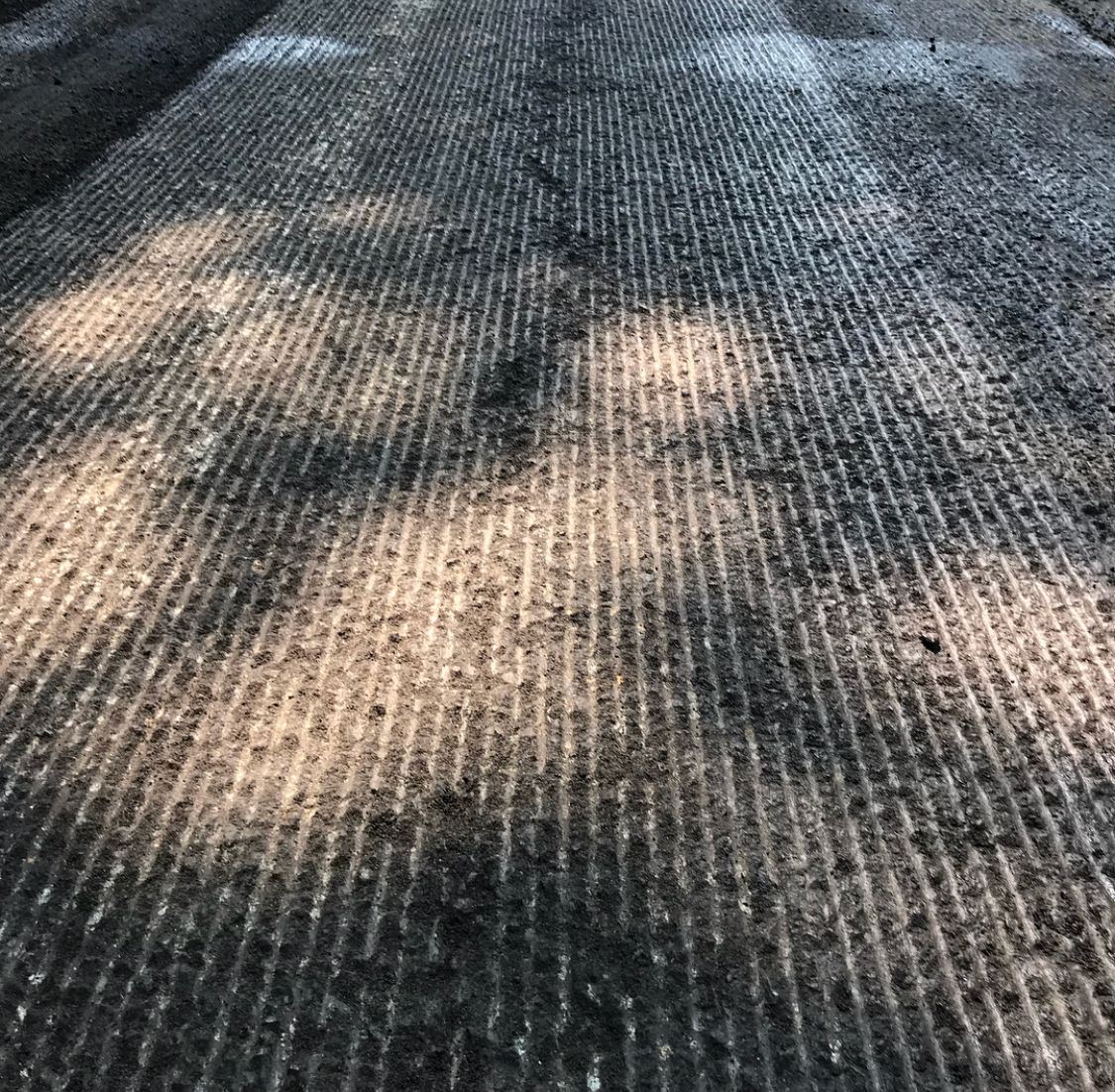 Sunlit textured pavement with tree shadows stretching across the path