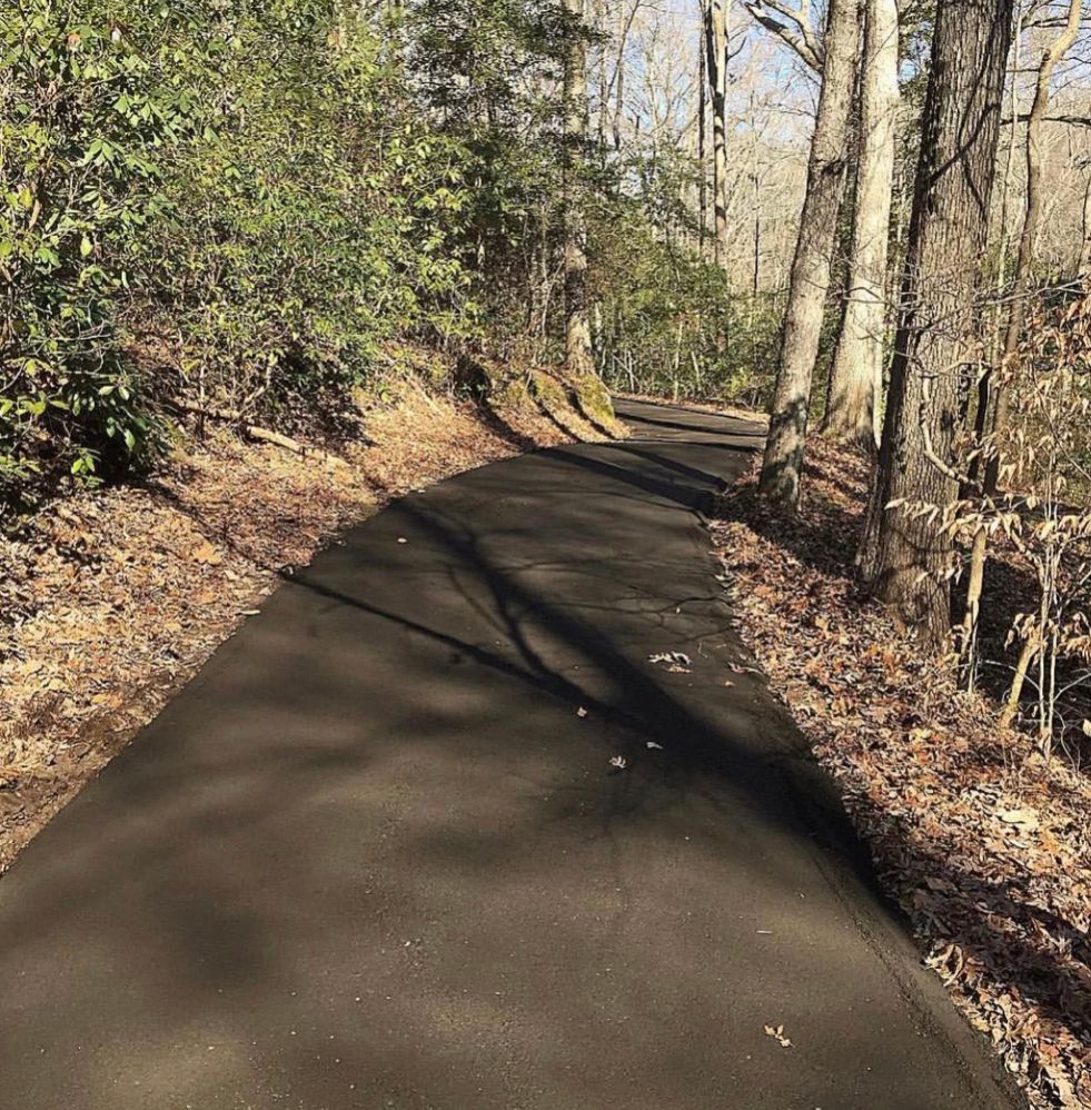 Paved path winding through a wooded area with bare trees and sunlight shadows