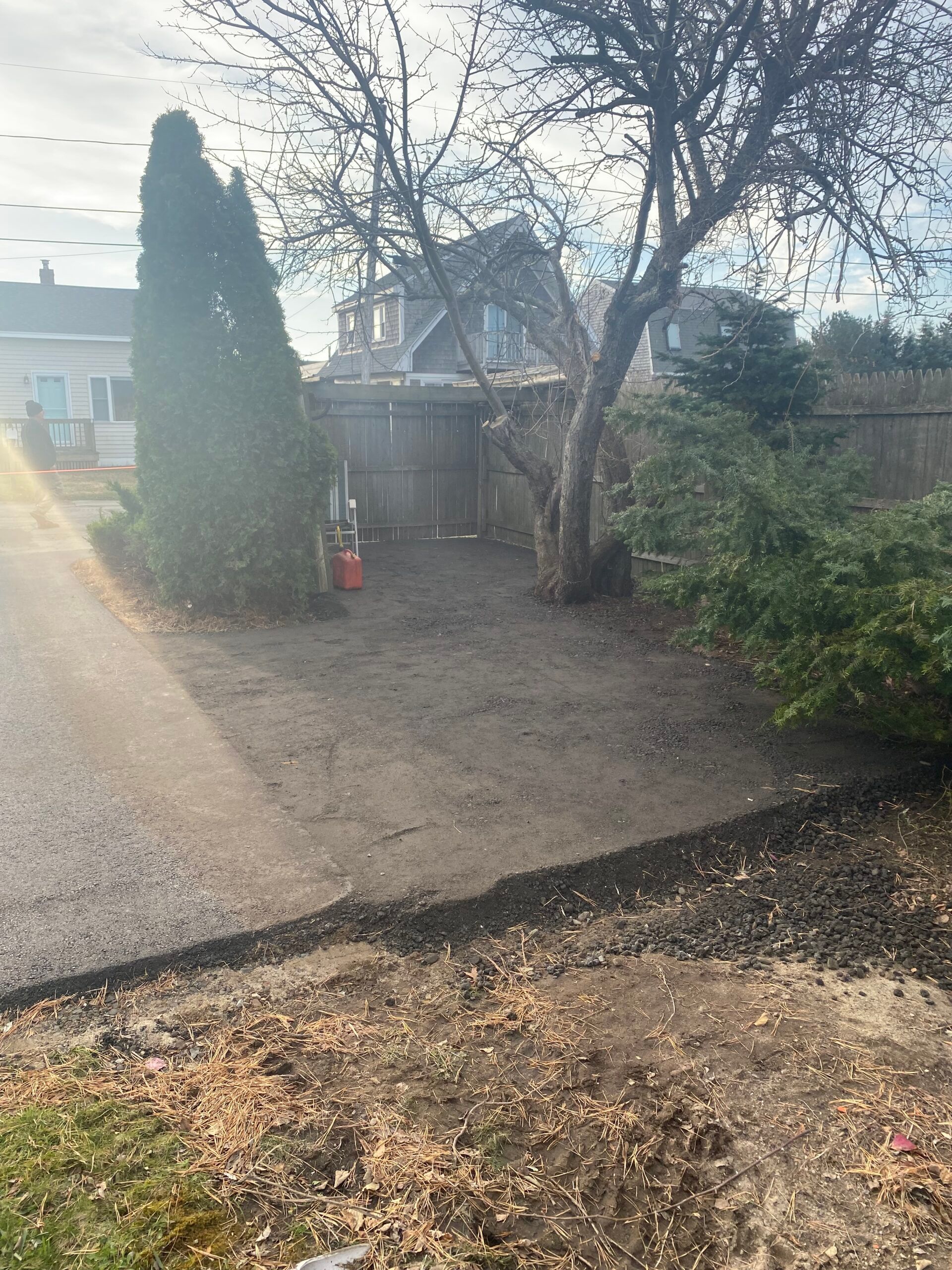 Backyard with bare trees, a tall evergreen, gravel path, and a shed in the background