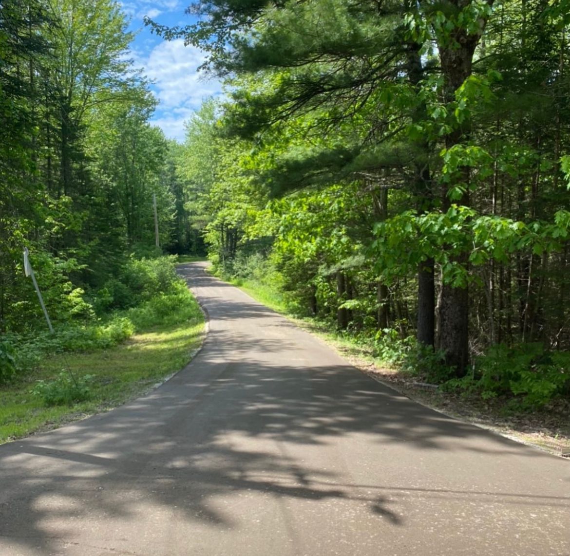 Sunlit paved path winding through a green forest with trees and blue sky