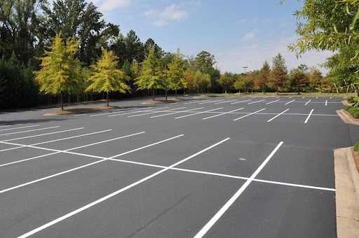 Empty asphalt parking lot with white lines, bordered by trees under a clear sky