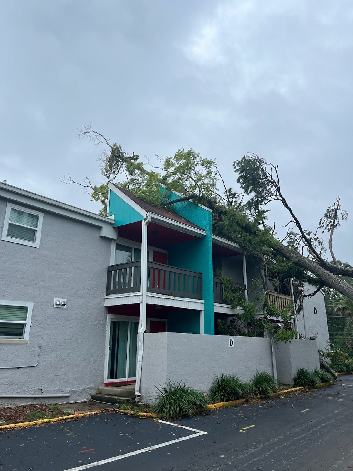 A large tree has fallen onto the roof and balcony of a two-story gray apartment building with turquoise accents.