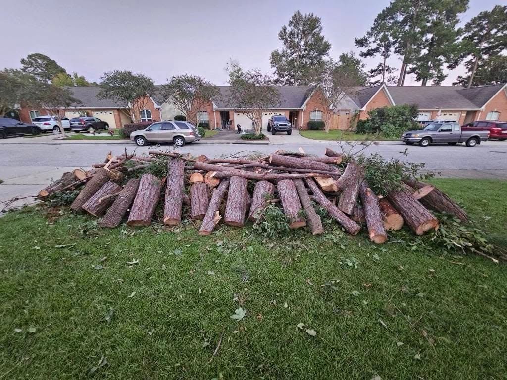A large pile of freshly cut pine logs sits on a suburban front lawn in front of houses and parked cars.