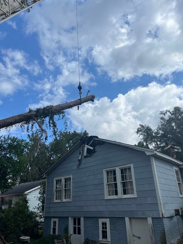 A large crane lifts a tree trunk away from a damaged section of a blue house's roof under a cloudy blue sky.