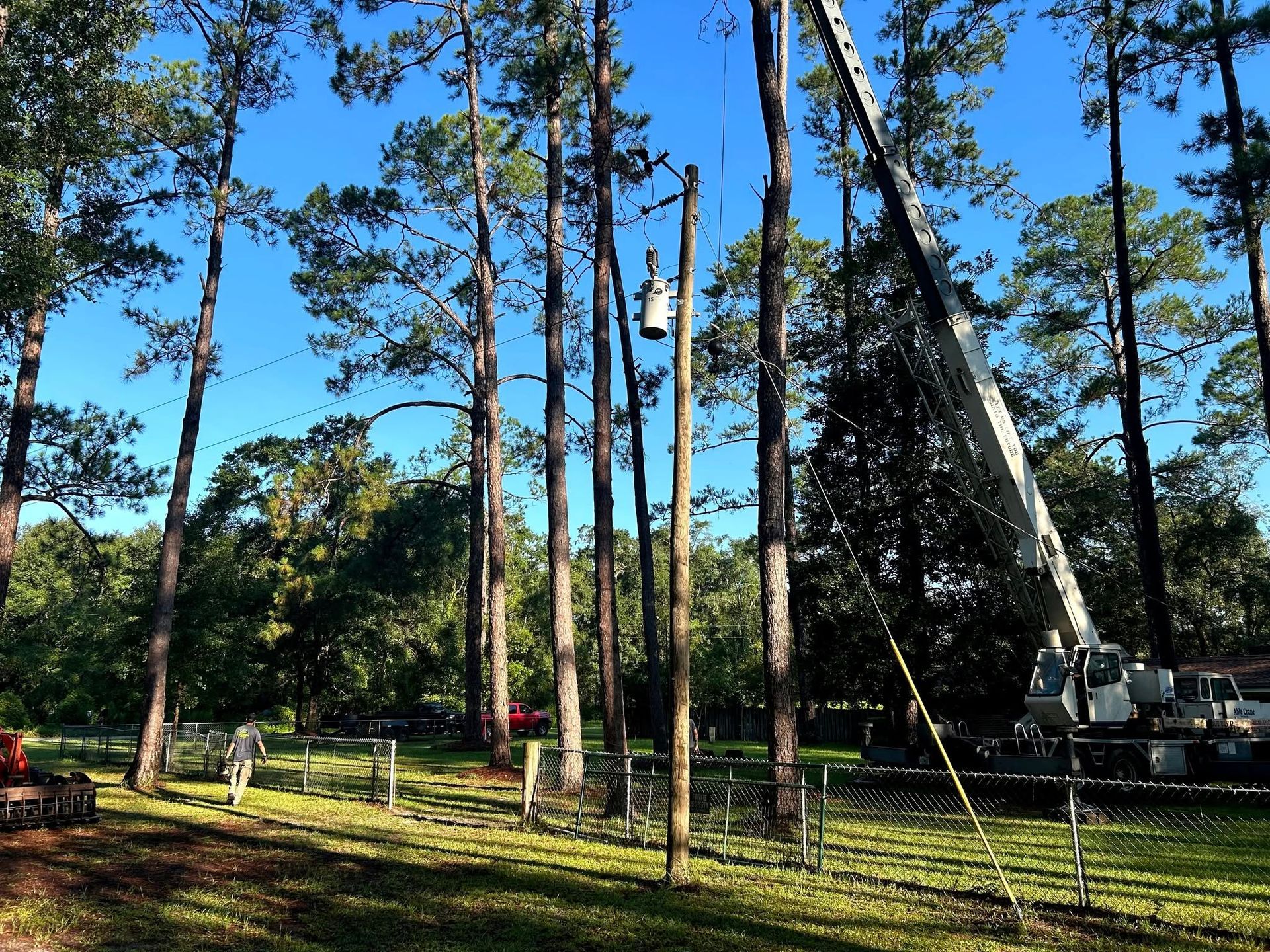 A utility crane works to clear tall pine trees near a power pole with an electrical transformer on a sunny day.
