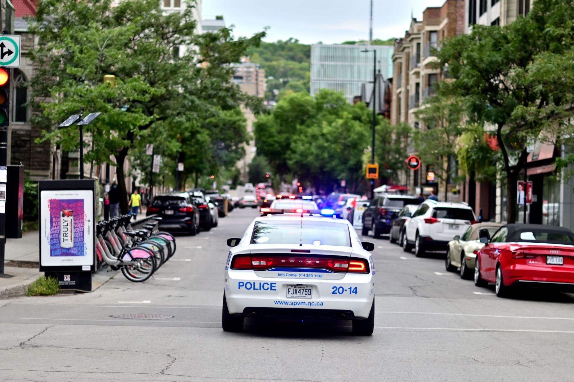 Police cars block a city street lined with parked cars, trees, and brick buildings.