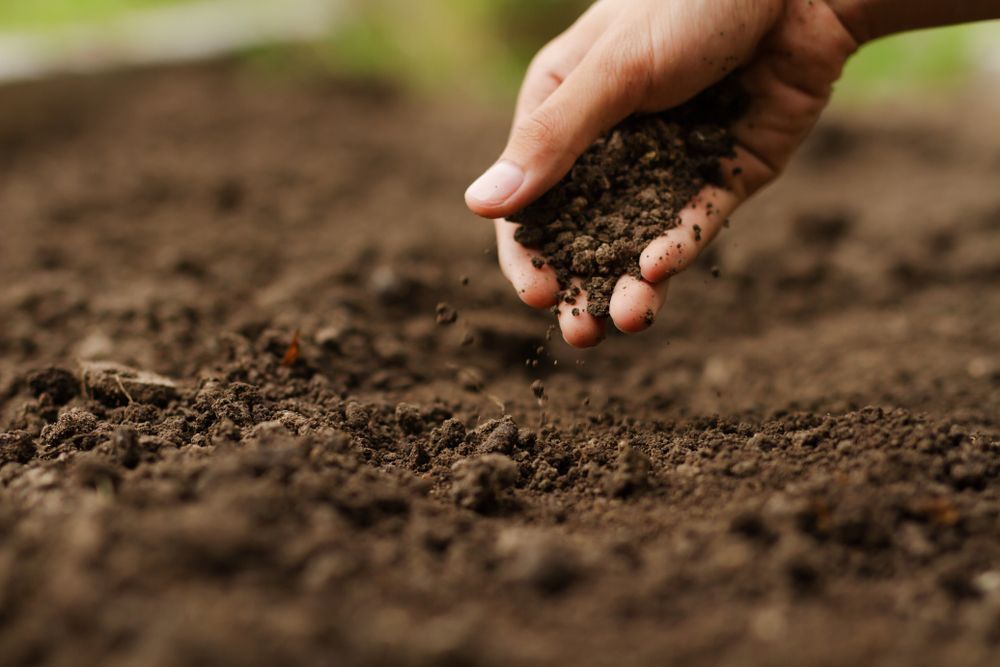 A Person is Holding a Pile of Soil in Their Hand — Hothams In Bathurst, NSW