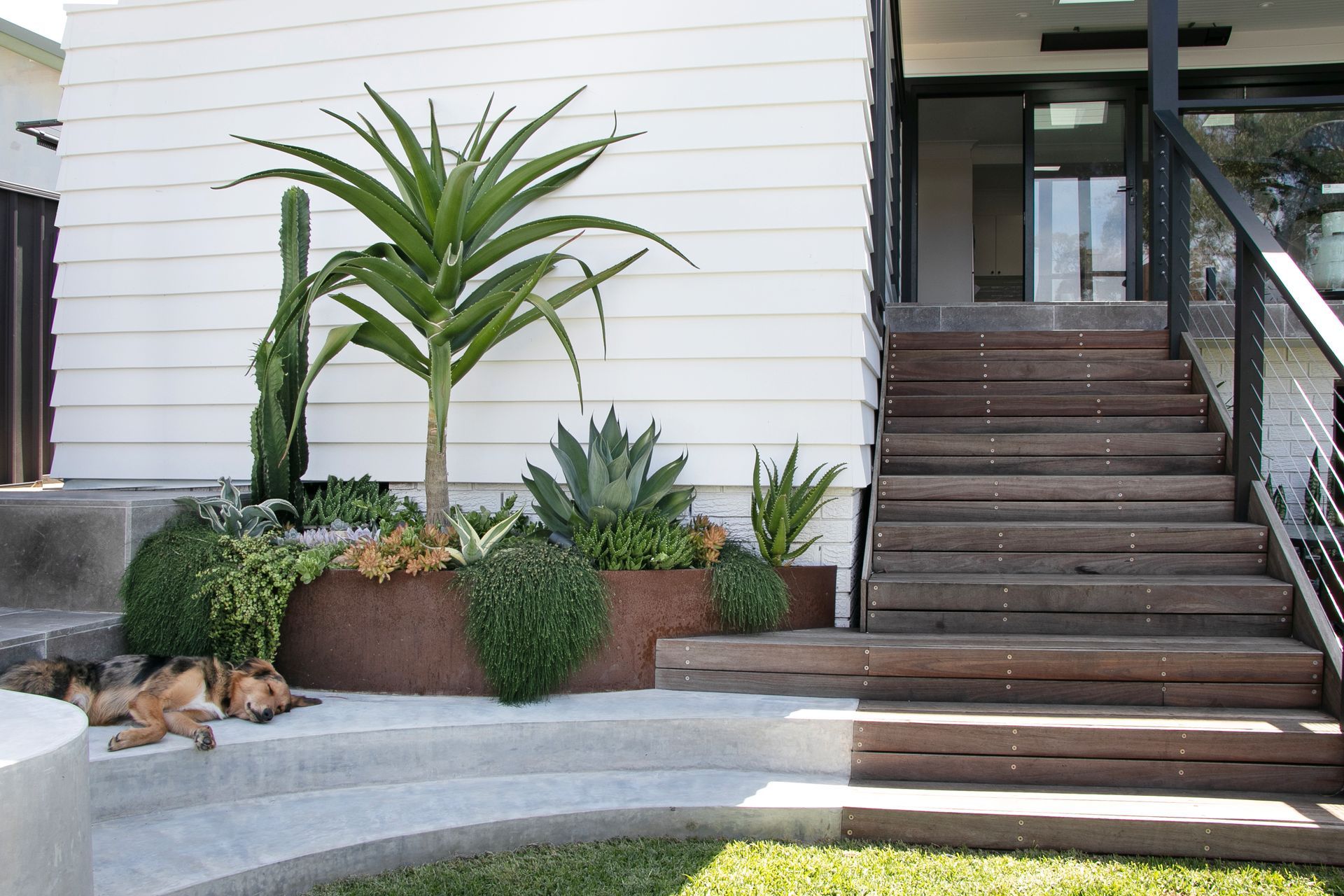 A dog rests near a garden bed with succulents and stairs leading to a house entrance — Hothams In Bathurst, NSW