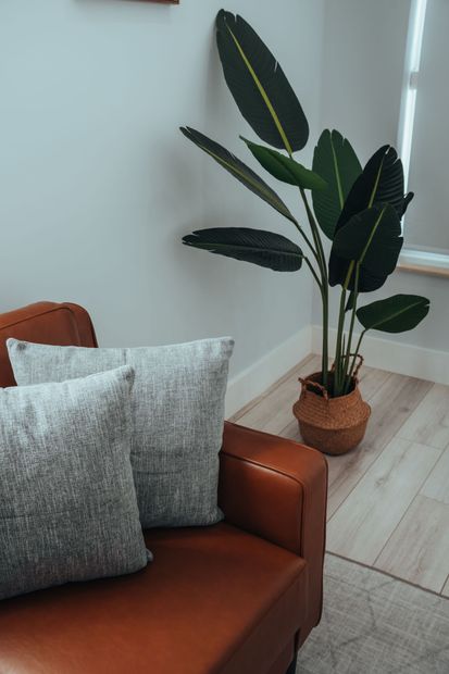 Cozy therapy space with chair and plant for virtual counseling