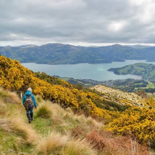 Banks Peninsula Track