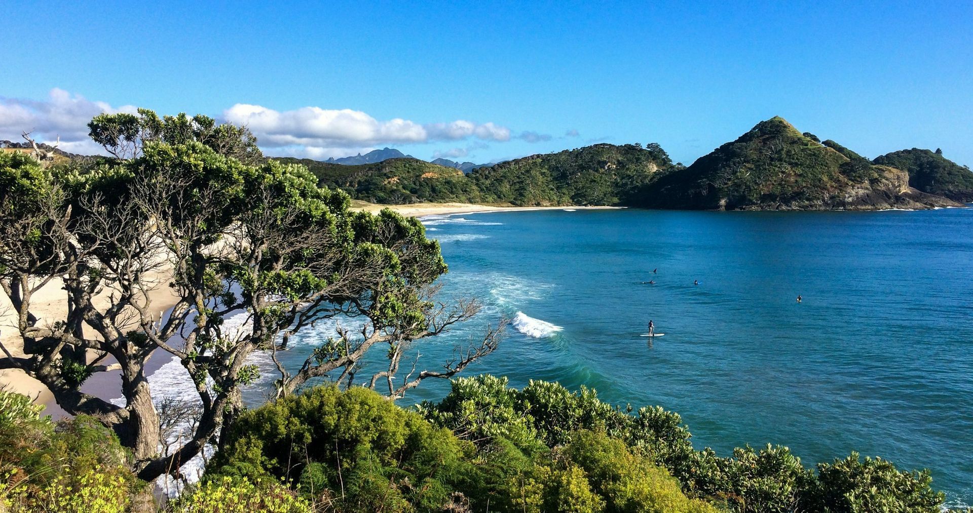 Great Barrier Island